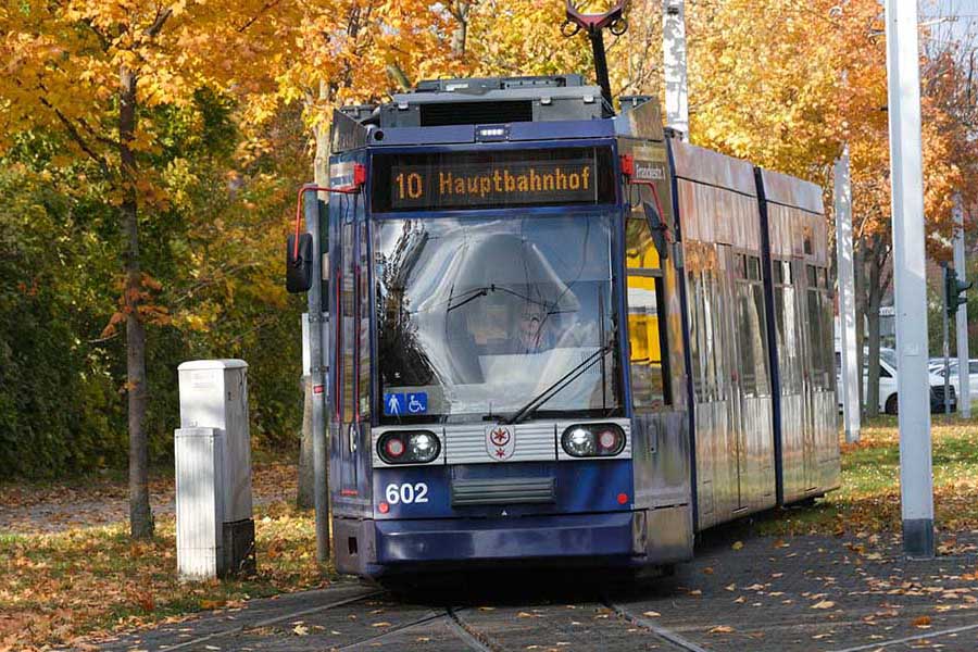 Blaue Straßenbahn Linie 10 fährt auf Gleisen durch herbstliche Baumallee mit gelb-orange gefärbtem Laub.