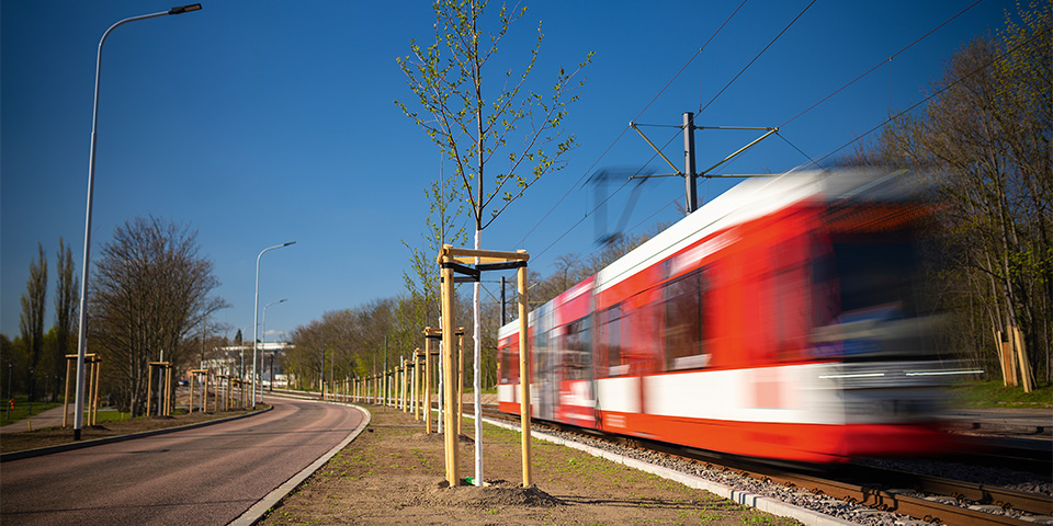 Straßenbahn neben begrünter Fläche.