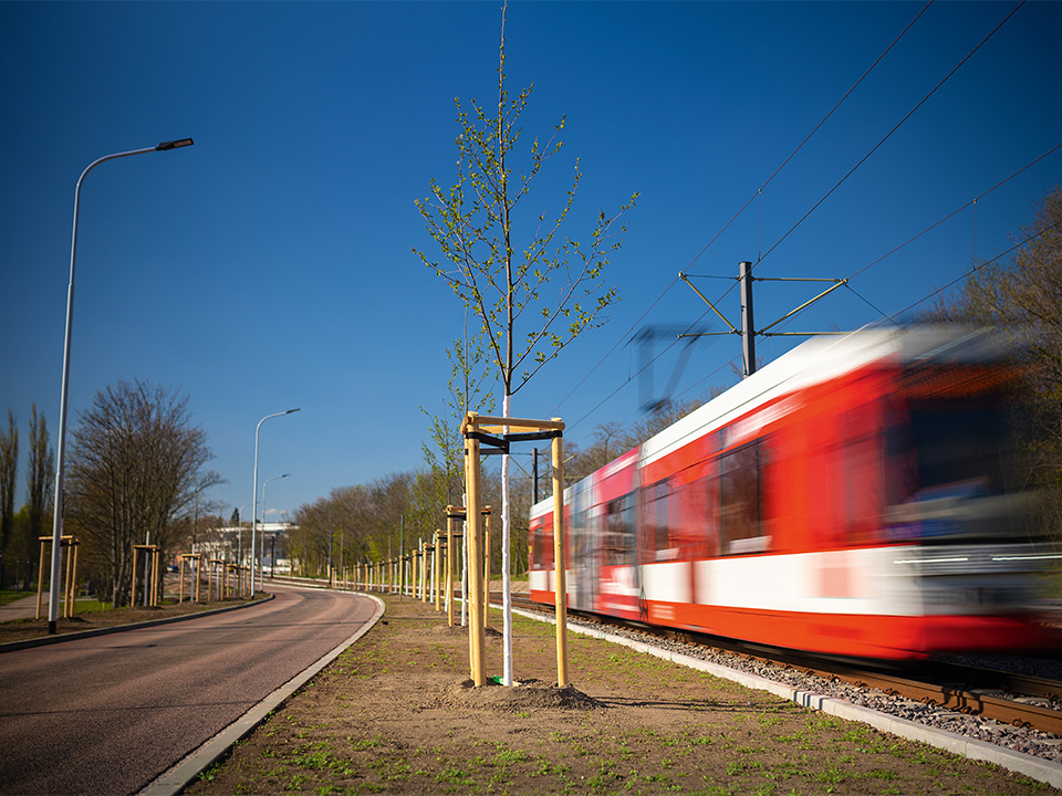 Straßenbahn neben begrünter Fläche.
