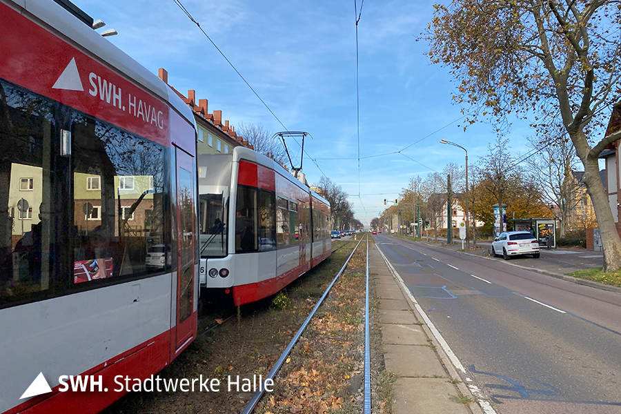 Eine Straßenbahn am linken Bildrand und ein Auto am rechten.