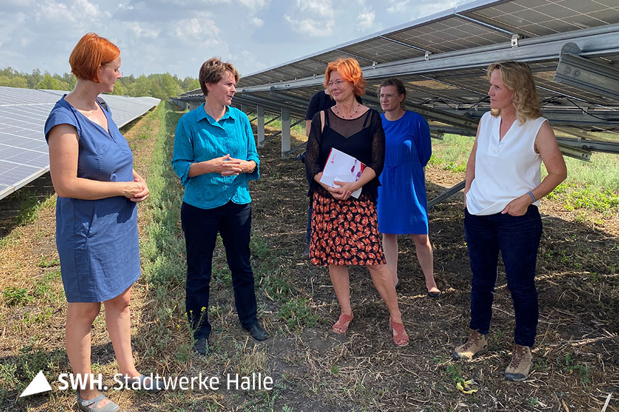 5 Damen stehen auf einem Feld. Sie unterhalten sich. Links und rechts der Damen sind die Anlagen zu sehen. Der Himmel ist leicht wolkig, die Sonne scheint.