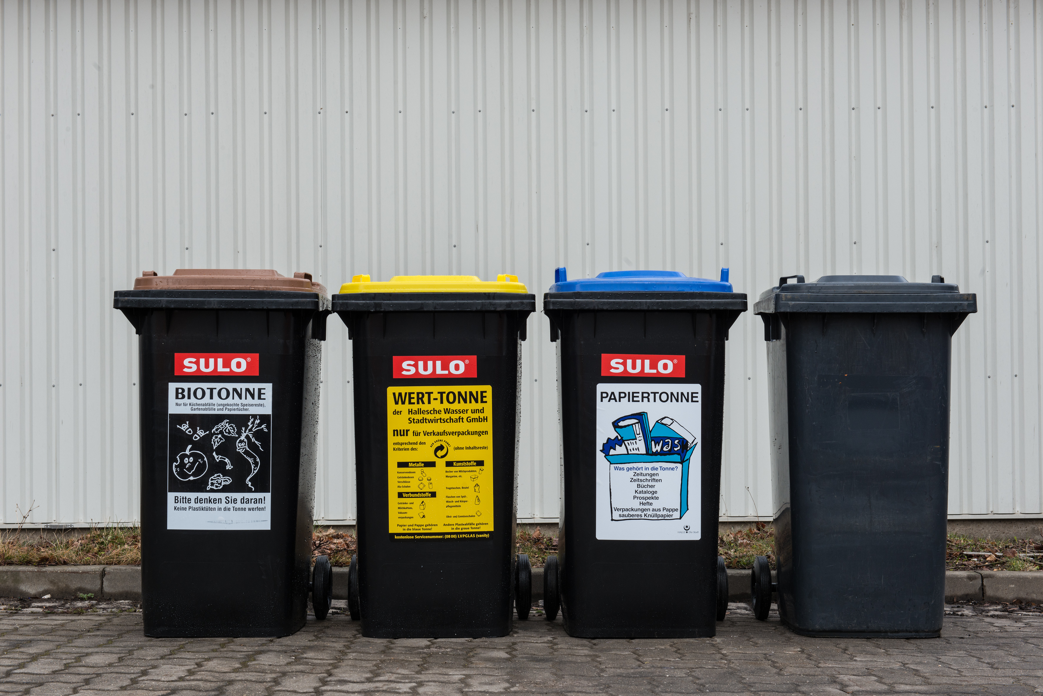 Auf dem Foto stehen vier Mülltonnen in einer Reihe: blau, gelb, grau und braun.