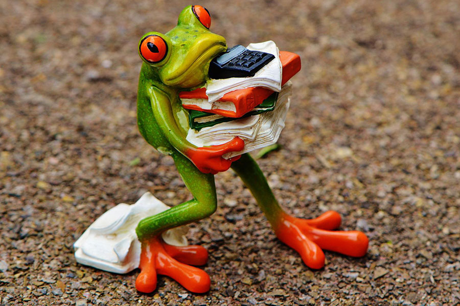 Ein Figur-Frosch steht auf einer Straße. Die Aufnahme ist leicht von oben. Der Frosch hält viele Bücher, einen Rechner und Blätter in der Hand. Einen Stapel Papiere hat er schon verloren.