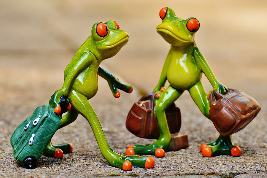 Zwei Figur-Frösche schauen sich an. Der linke Frosch zieht einen grünen Koffer hinter sich her. Der rechte Frosch trägt in beiden Händen jeweils einen braune Tasche.