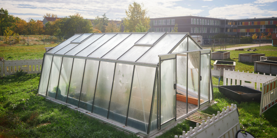 Das Aquaponik-Gewächshaus, im Hintergrund die Schule.